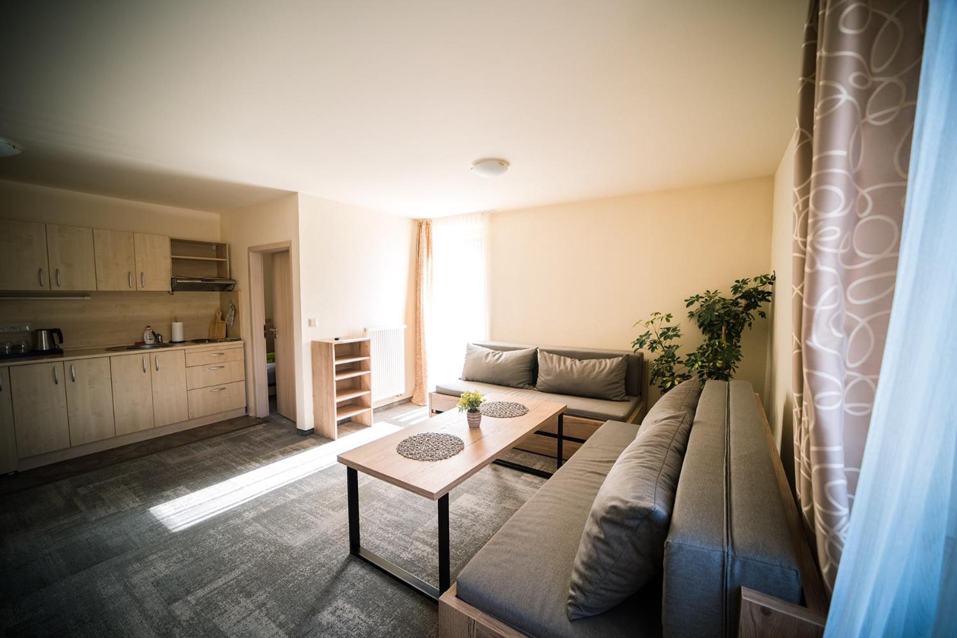 Wellness & Spa Hotel Certov Extérieur photo
